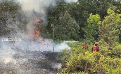 Api Karhutla Perlahan Padam, Kapolda Riau: Jangan Coba-Coba Bakar Lahan