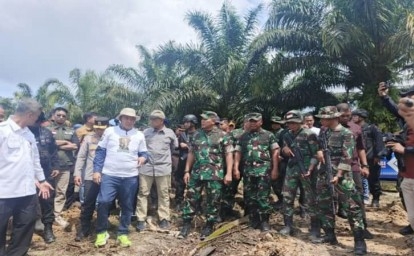 Sawit Ilegal Dimusnahkan, 311 Ha Lahan Kembali ke Pangkuan Tesso Nilo