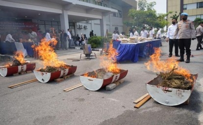 Polda-Riau-musnahkan-ganja1.jpg