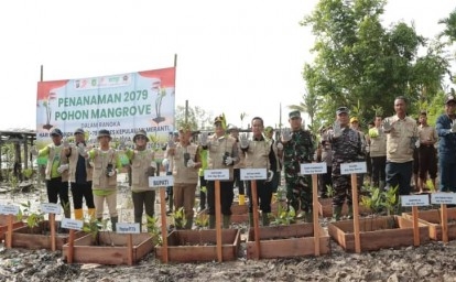 Tanam-bibit-mangrove-di-meranti.jpg