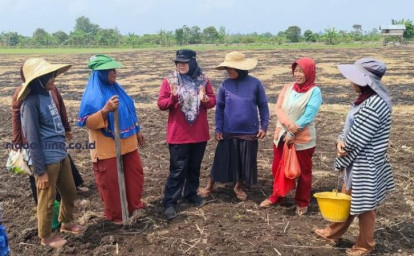 bupati-afni-temui-petani-di-teluk-lanus.jpg