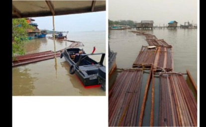 kayu-ilegal-di-meranti.jpg