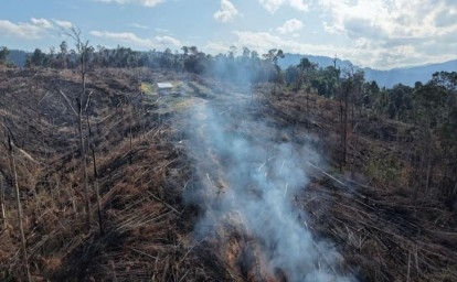 lahan-HPT-Tanjung-Medan-dibakar.jpg