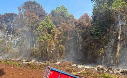 lahan-terbakar-di-bengkalis2.jpg