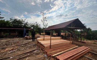 sawmill-ilegal-di-Desa-Sungai-Sarik.jpg