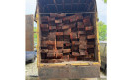 10-meter-kubik-kayu-olahan-ilegal.jpg