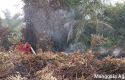 15.477-Hektare-Lahan-Terdampak-Karhutla-di-Riau-hingga-Juni-2026-dan-Masuk-Prioritas-Nasional.jpg