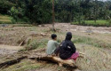 341-Hektare-Sawah-Rusak-Akibat-Bencana-Hidrometeorologi-di-Padang-Pariaman.jpg