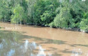 Air-Sungai-Lanjung-Tercemar-Anak-Anak-di-Siak-Tak-Bisa-Sekolah.jpg