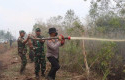 Api-di-Gambut-Dumai-Mengganas-Dansat-Brimob-dan-Jajaran-Turun-Tangan.jpg