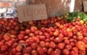 Awal-Ramadan-Harga-Bawang-Merah-dan-Tomat-Naik.jpg