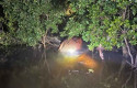 Bangkai-Paus-Sepanjang-8-Meter-Ditemukan-di-Pantai-Bakau-Indragiri-Hilir.jpg