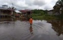 Banjir-di-pelalawan2.jpg