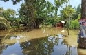 Banjir-di-sungai-batak-Pekanbaru.jpg