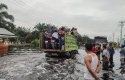 Banjir-pelalawan4.jpg