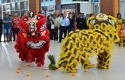Barongsai-di-SSK-II-1.jpg