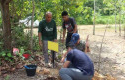 Belantara-Foundation-Gandeng-Mitra-Jepang-Restorasi-Hutan-Tahura-SSH.jpg