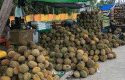 Berburu-Durian-di-Pekanbaru-Ini-Tips-Pilih-Durian-Ala-Pedagang-Senior-di-Rumbai.jpg