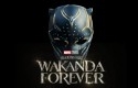 Black-Panther-Wakanda-Forever.jpg