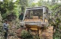 Buldozer-Illegal-logging.jpg