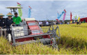 Bupati-siak-panen-raya.jpg