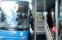 Bus-Trans-metro-Pekanbaru2.jpg