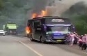 Bus-terbakar2.jpg
