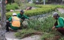 DLHK-Pekanbaru-Tata-Ulang-Median-Jalan-Jadikan-Kota-Lebih-Indah-dan-Sejuk.jpg