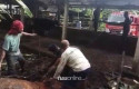 Damkar-Evakuasi-Sapi-800-Kilogram-yang-Terjebak-di-Kubangan-Lumpur.jpg