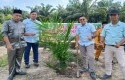 Desa-Sawit-Mandiri-pt-iss.jpg