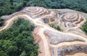 Dokumentasi-Sawit-watch.jpg