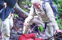 Dua-Bunga-Rafflesia-Arnoldii-Mekar-Bersamaan-di-Hutan-Palupuh.jpg