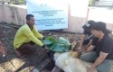EMP-Salurkan-Hewan-Kurban-di-20-di-Wilayah-Operasional-pada-Iduladha-1446-H.jpg