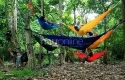 Festival-Hammock.jpg