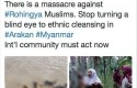 Foto-Hoax-Rohingya.jpg