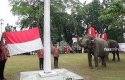 Gajah-kibarkan-bendera-di-bbksda.jpg