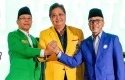 Golkar-PPP-PAN.jpg