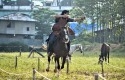 Horse-Power-Tambusai2.jpg