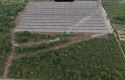 Hutan-mangrove-yang-dibabat.jpg