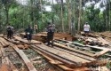 Illegal-Logging-Pelalawan.jpg