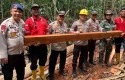 Illegal-Logging-di-Pulau-Rupat.jpg