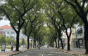 Ilustrasi-Green-City.jpg