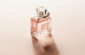 Ilustrasi-Parfum.jpg