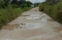 Jalan-Utama-Beringin-Ujung.jpg