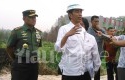 Jokowi-ke-Lahan-Gambut-di-Rimbo-Panjang.jpg