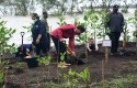 Jokowi-tanam-mangrove6.jpg