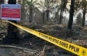 KLH-Segel-Empat-Perusahaan-Terkait-Dugaan-Karhutla-di-Riau.jpg