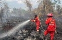 Kabut-Asap-Selimuti-Pekanbaru-BPBD-Riau-Usul-Tambahan-Helikopter-Water-Bombing.jpg