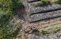 Kapolda-Instruksikan-Pengusutan-Dugaan-Perusakan-100-Ha-Mangrove-di-Rohil.jpg