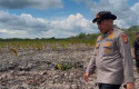 Kapolda-Riau-Tinjau-Dugaan-Perusakan-118-Hektare-Mangrove-dengan-Alat-Berat-di-Rohil.jpg